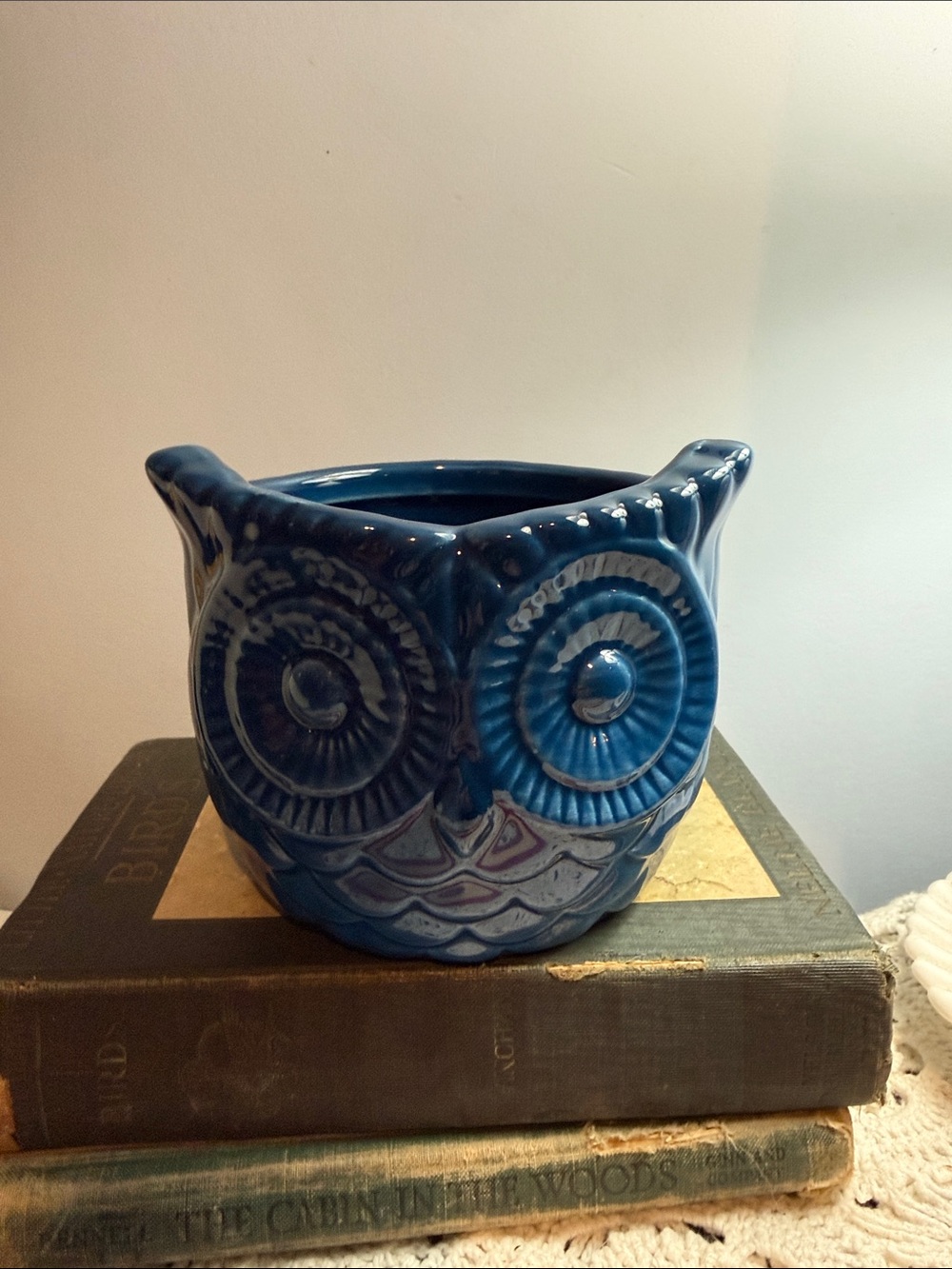 Blue Ceramic Owl Planter - Decorative Home Art
